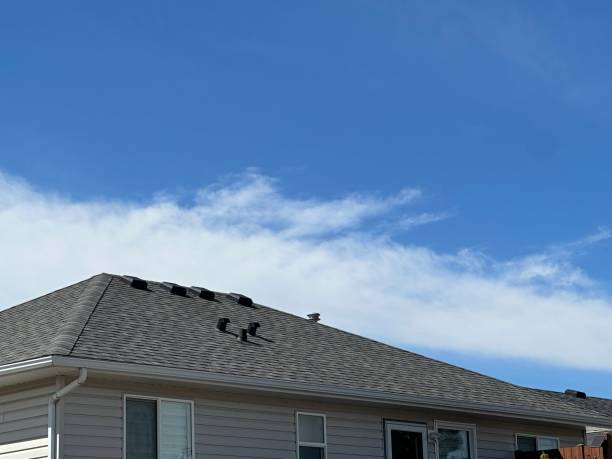 Best Wood Shake Roofing  in Ferdand, IN